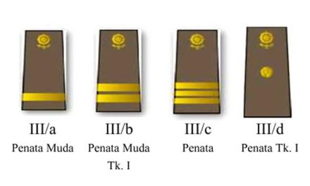 Mengenal Pangkat Golongan PNS
