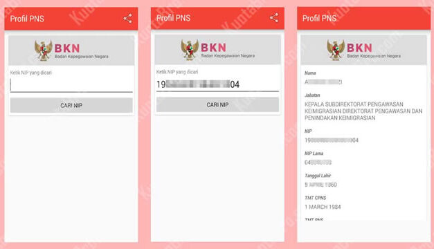 Agar Lancar Urus Gaji, Ini Cara untuk Cek Profil PNS Online