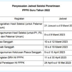 Jadwal Terbaru PPPK Guru 2022 dari BKN